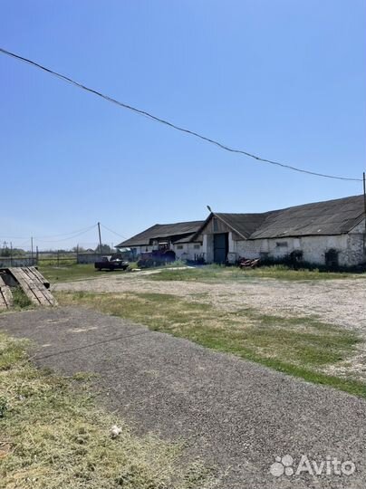 Малиновый сад