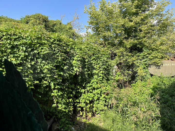 Участок 5,5 сот. (ИЖС)