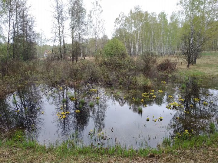 Участок 1,04 га (СНТ, ДНП)