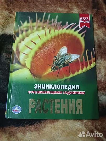 Энциклопедия
