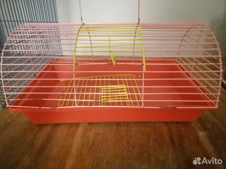 Маленькая клетка