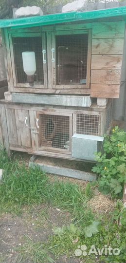 Клетки для кроликов