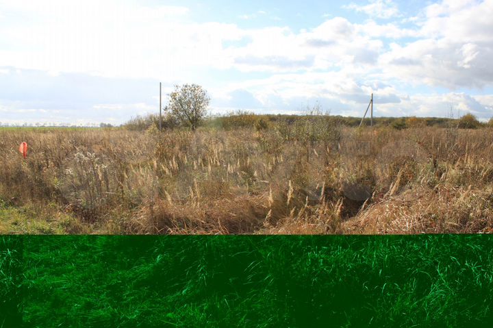 Участок 10 сот. (СНТ, ДНП)