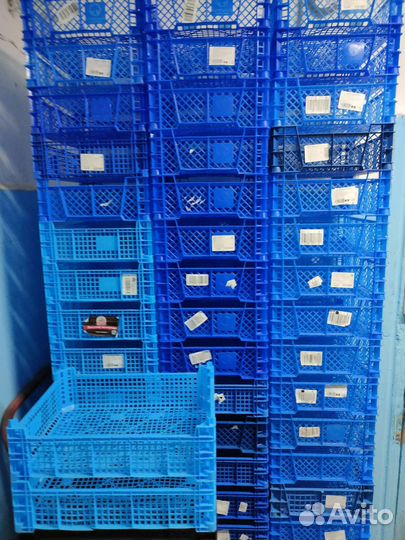 Пластиковые ящики для овощей бу