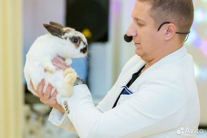 Фокусник - Иллюзионист