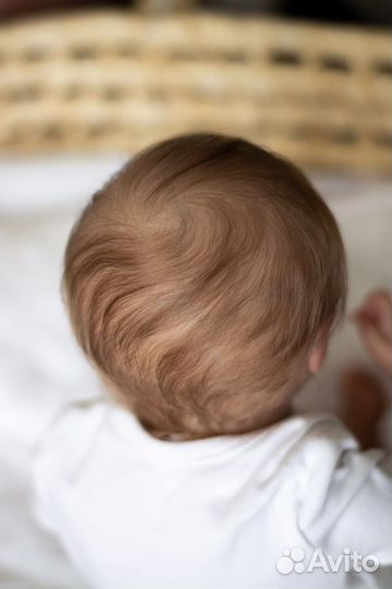 Реборн Одесса