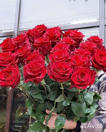 Розы высокие Доставка цветов