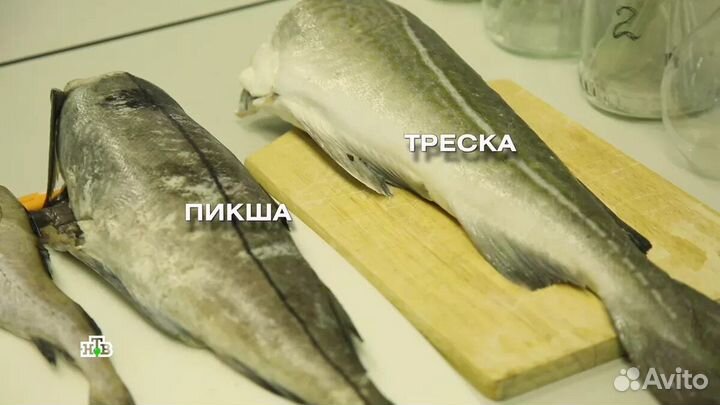 Треска Пикша Мурманск