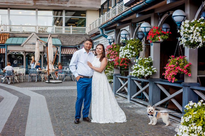 Маленькая собачка для фотосессии