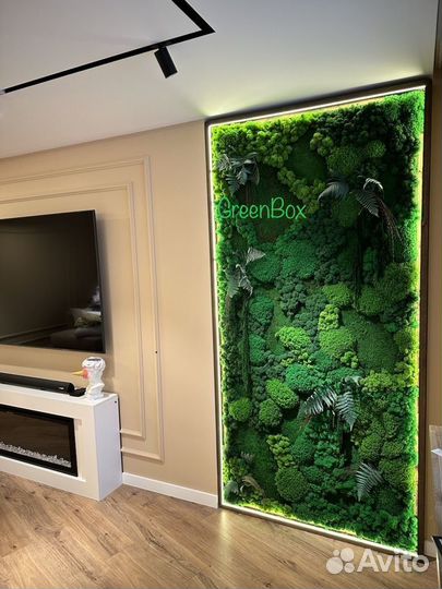 Стена из мха фитостена
