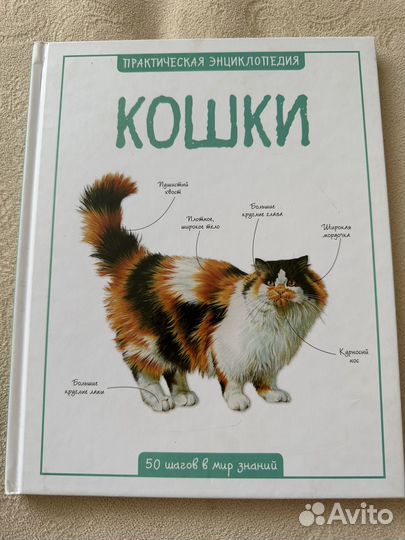 Энциклопедии для детей