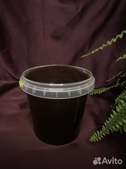 Кашатновый мёд, Казахстан, 2024г