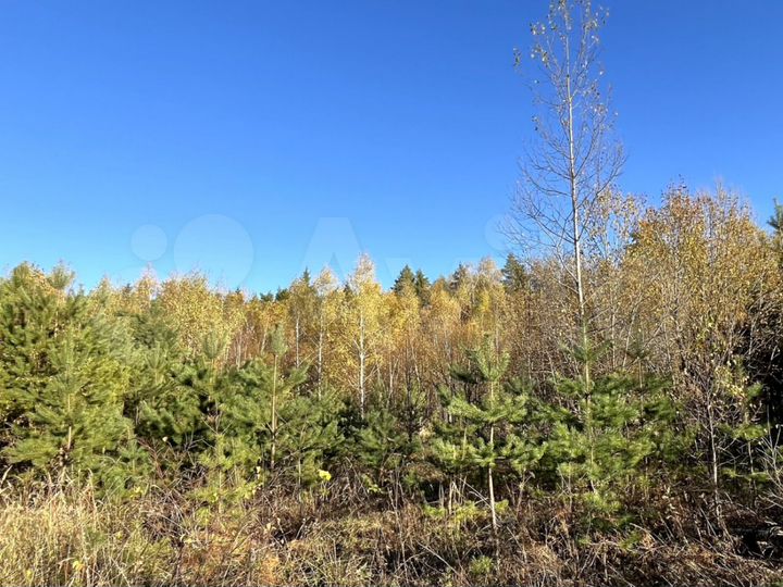 Участок 20 сот. (ИЖС)