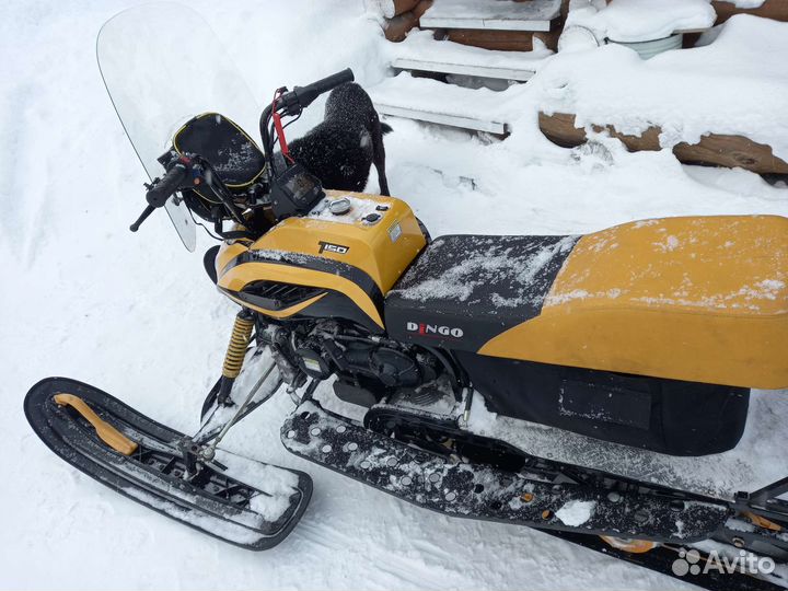 Снегоход dingo T150