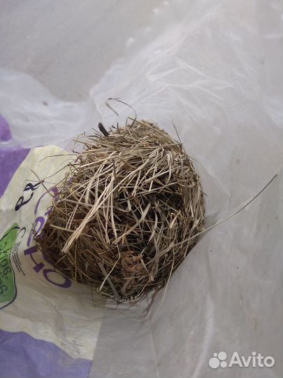 Продаю сено для домашних грызунов