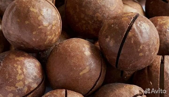 Орех Макадамия неочищенный