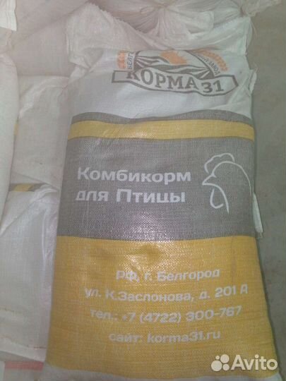 Зерно пшеница ячмень кукуруза