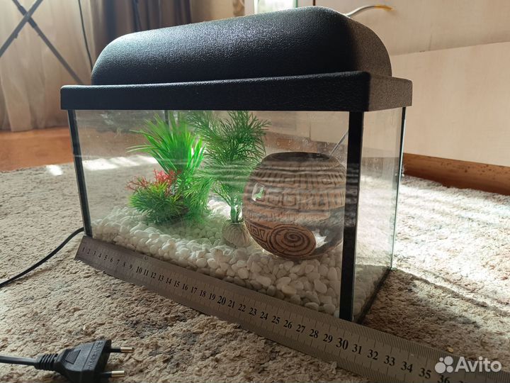 Аквариум с украшениями
