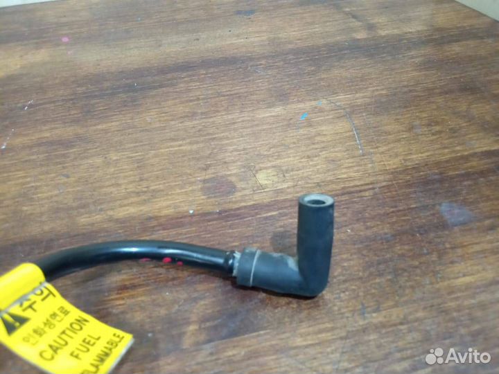 Топливная трубка Chevrolet Lacetti 1.6 96553876
