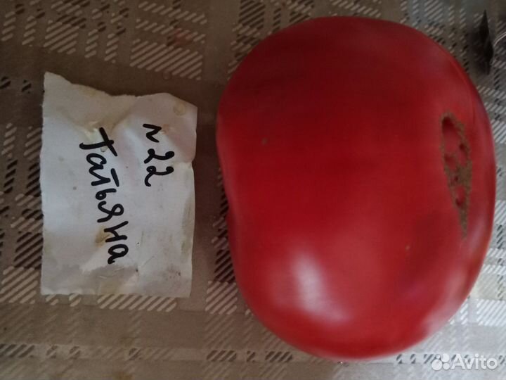 Семена томатов
