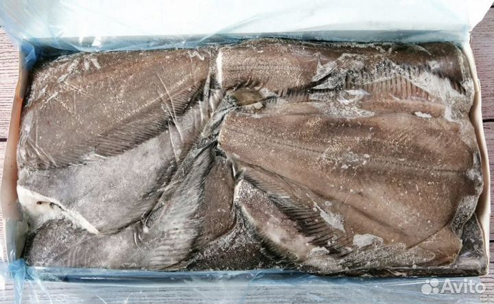 Палтус свежемороженый