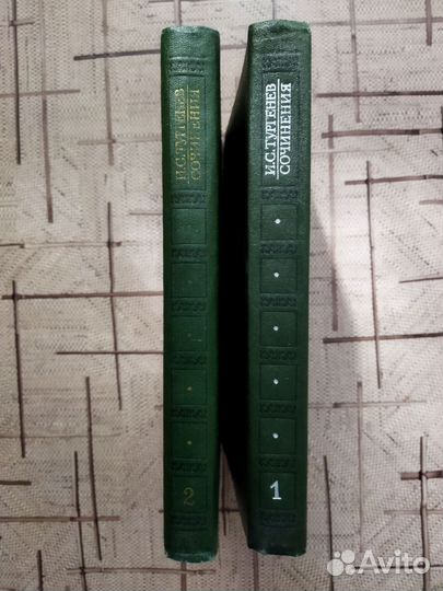 Собрание сочинений Тургенева в двух томах