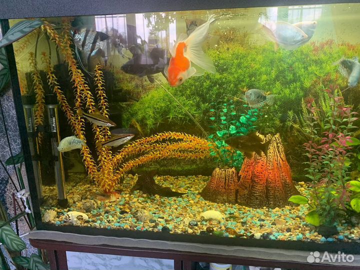 Аквариум с тумбой