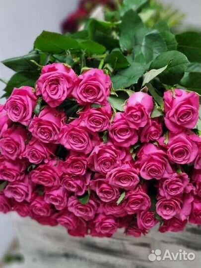 Розовые розы 70 см.Цветы. Доставка. 51,101