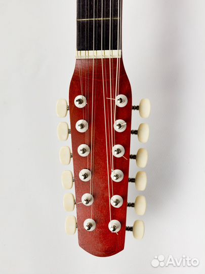 12-струнные гитары ACD-41A-88-R