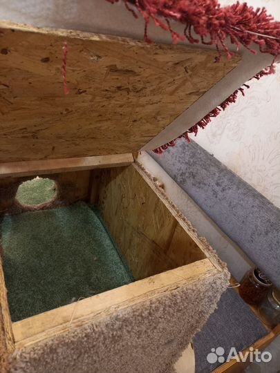 Домик для кошки с когтеточкой бу