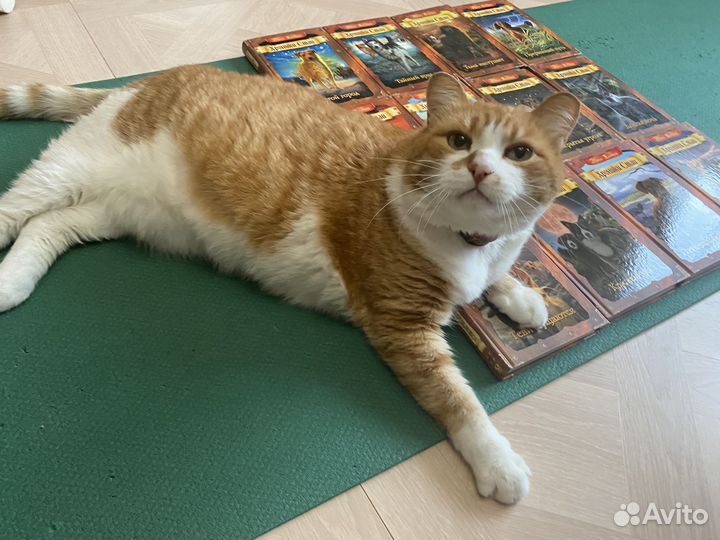 Книги для детей