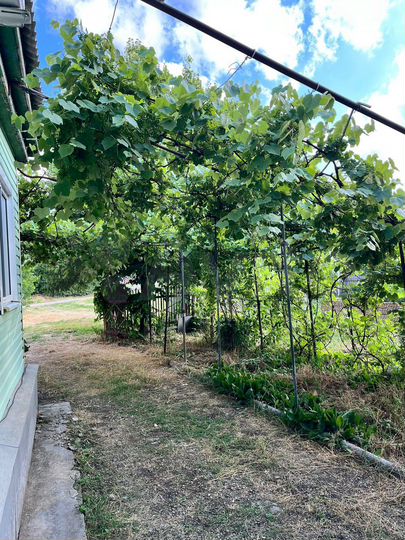 Дом 54,3 м² на участке 21 сот.