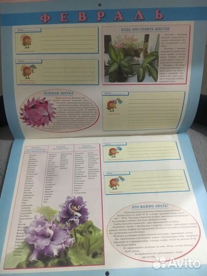 Календарь комнатных растений