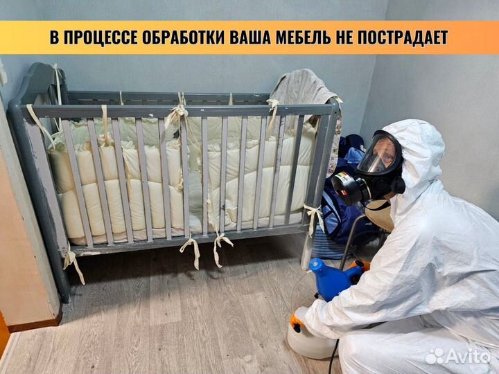 Дезинфекция / Уничтожение тараканов клопов плесени