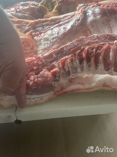 Мясо свинина домашняя