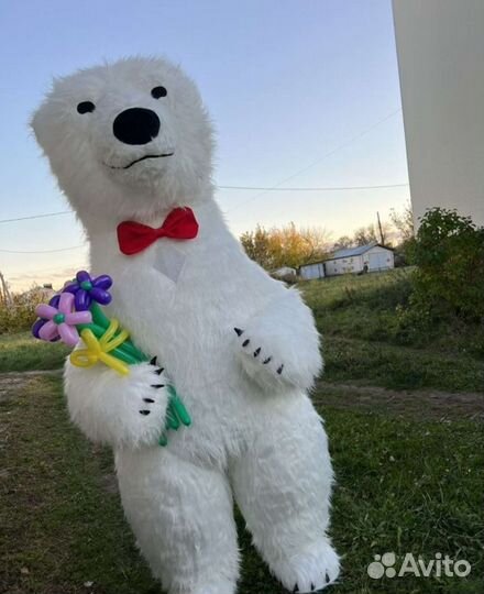 Белый мишка поздравление