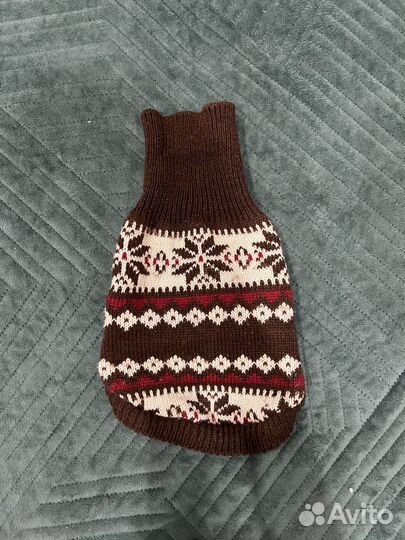 Одежда для сфинкса