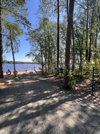 Участок 12,5 сот. (СНТ, ДНП)