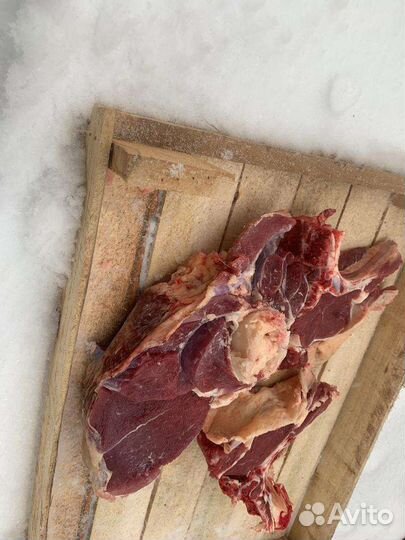 17 ноября режем молодого домашнего бычка