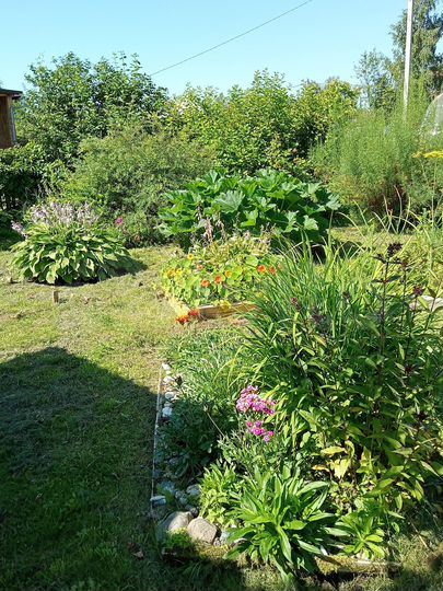 Дом 23,6 м² на участке 4 сот.