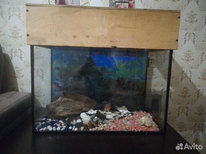 Аквариум 100л