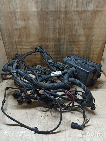 Проводка двигателя с блоком Ford Focus 1 98-05