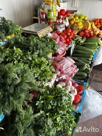 Готовый бизнес по продаже фруктов и овощей