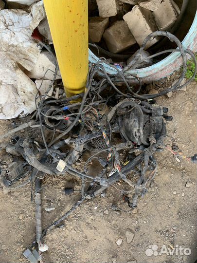 Проводка подкапотная kia cerato 2