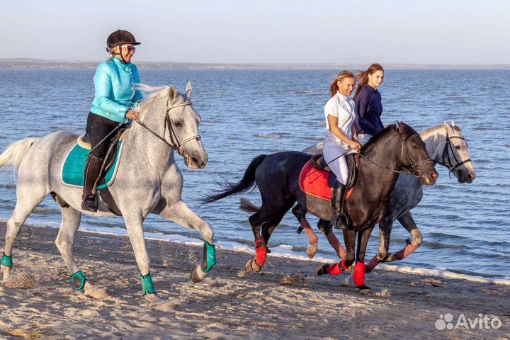 Конные прогулки, обучение верховой езде