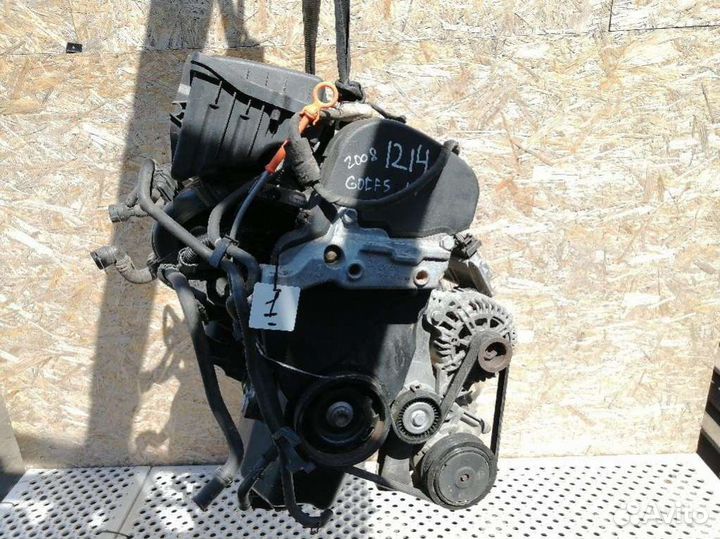 Двигатель Volkswagen Golf 5 (2003 - 2009) 1.4 BUD