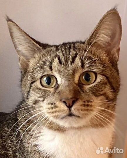 Чудесная малышка из приюта ищет маму