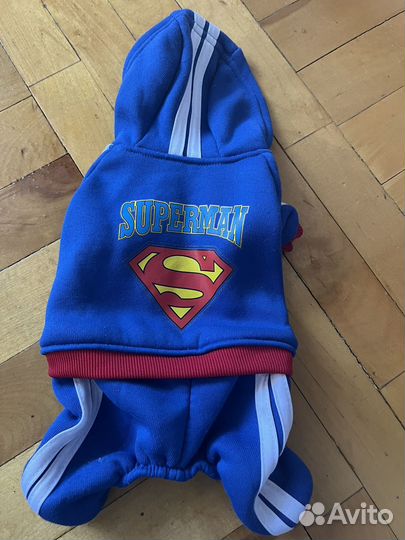 Одежда для маленьких собак