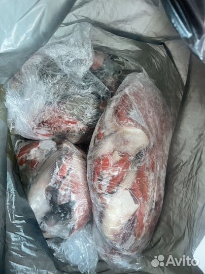 Дикий лосось набор для ухи