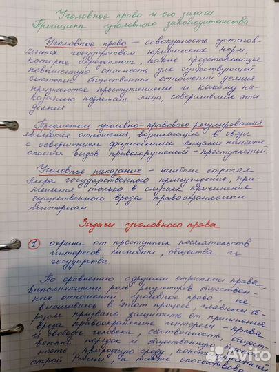 Перепишу и напишу лекции/ конспекты